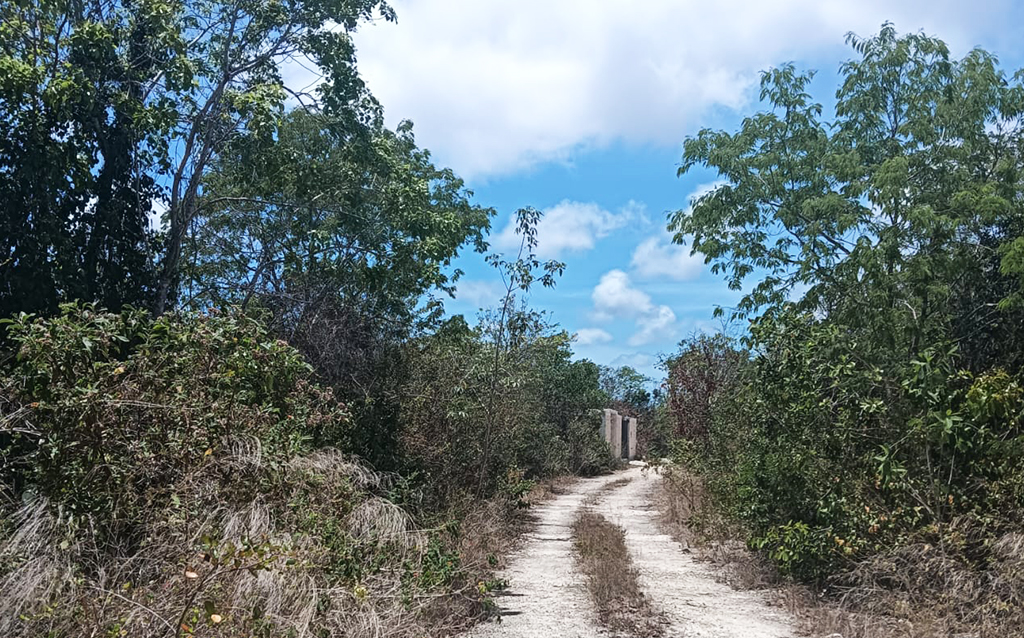 terreno-en-venta-santa-ana-benito-juarez-cancun-quintana-roo_2